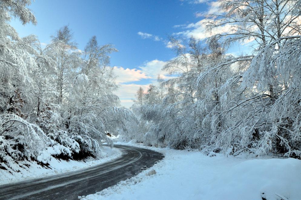 Wald, Schnee, Straße Serbien
