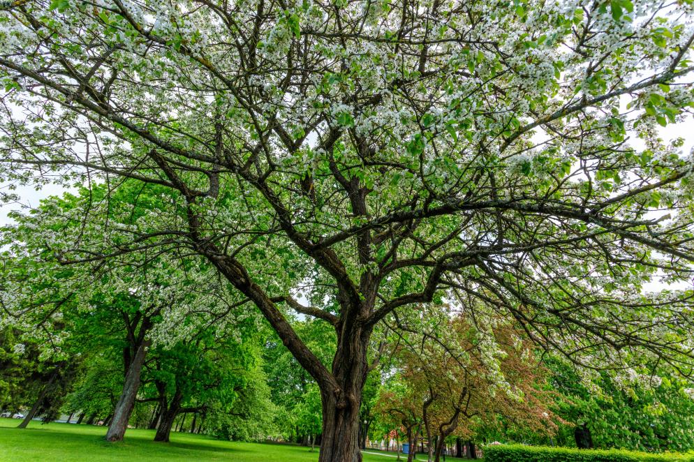 Kadriorg Park Tallinn