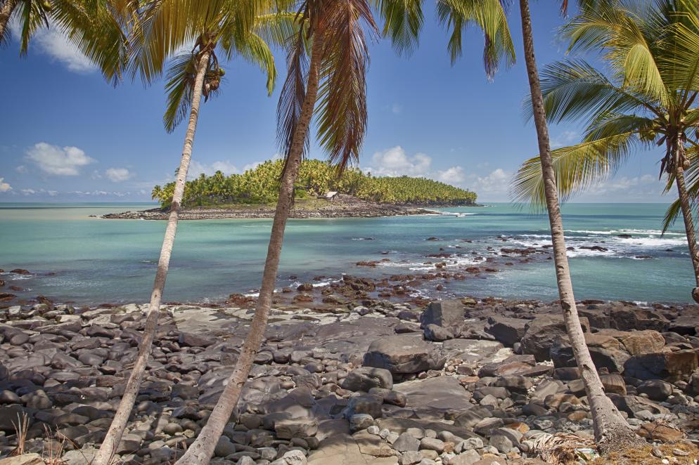 Palmen, Insel, Strand