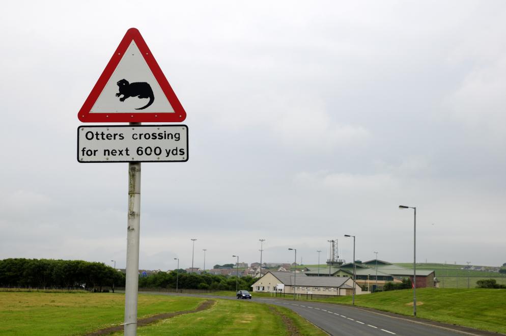 Verkehrsschild, Straße