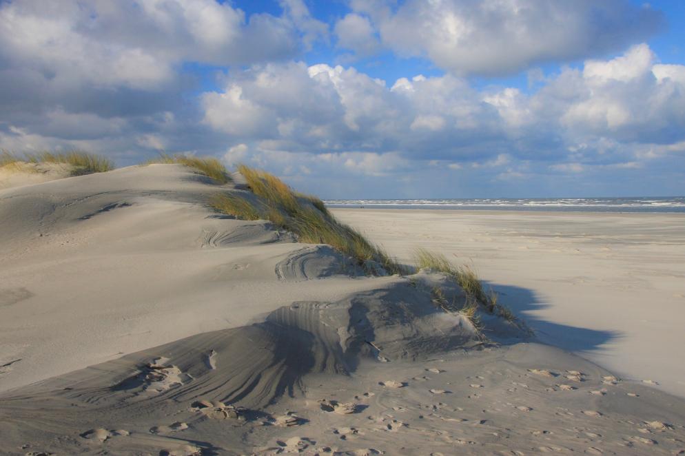 Strand, Düne, Meer Insel Baltrum