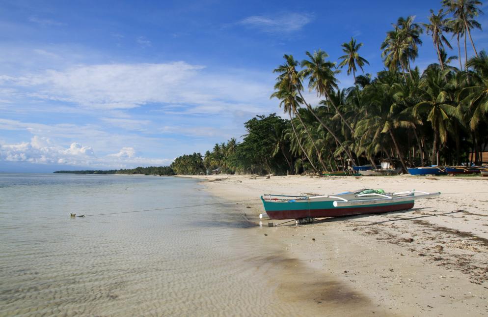 Strand, Palmen, Meer, Boot Insel Siquijor