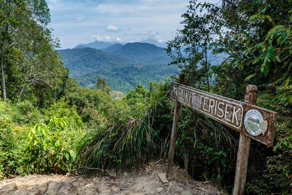 Regenwald, Schild Kuala Tahan (Taman Negara National Park)
