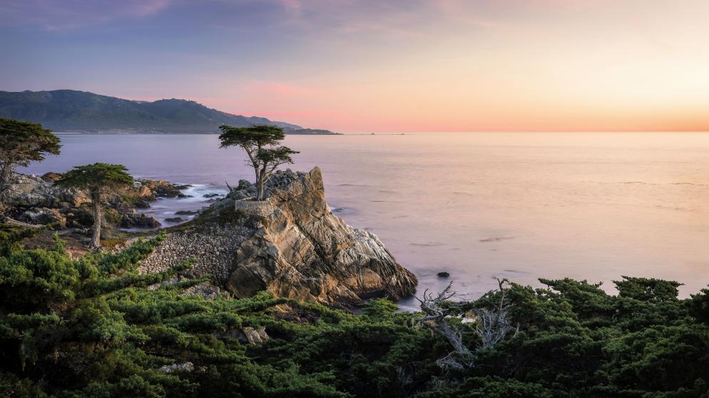 17-Miles-Drive, Lone Cypress Kalifornien
