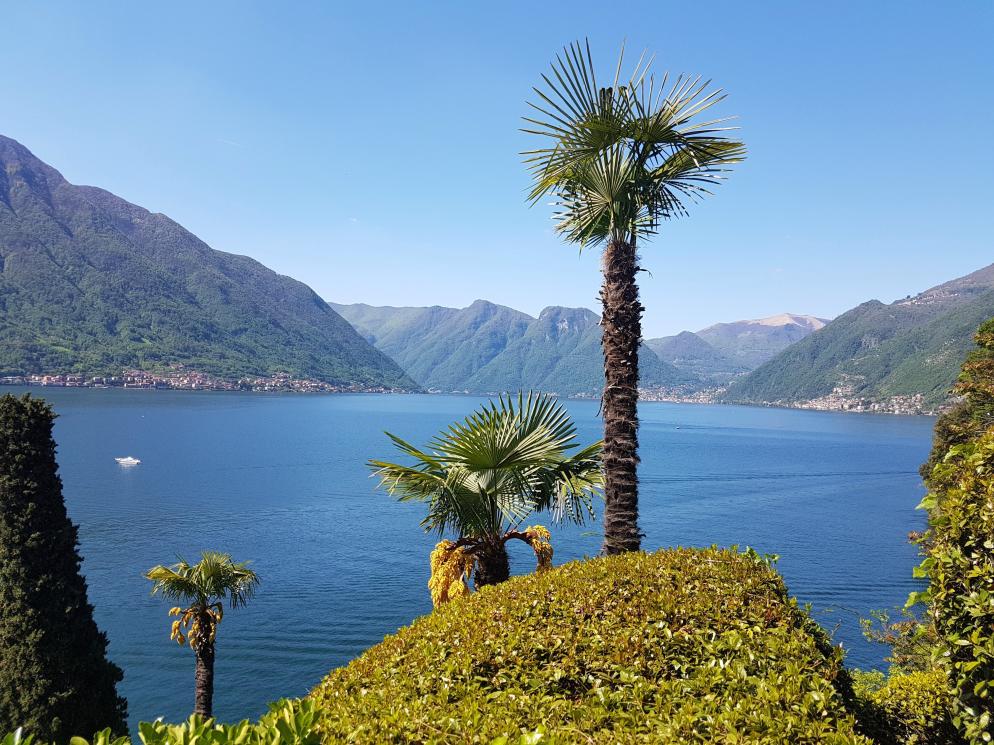 See, Berge, Palmen Tremezzo (Comer See)