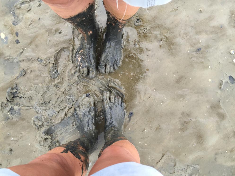 Watt, Schlick, Beine, Wattwandern