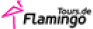 logo_flamingo